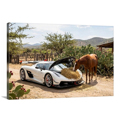 Koenigsegg In the Ranch